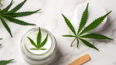 Discover the power of Mood Cannabis and elevate your experience