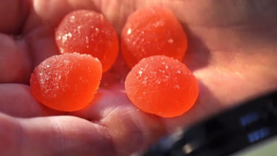 How Long Does Gummy Cbd Last