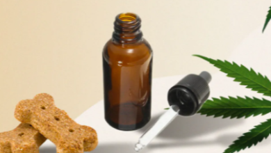 How Much Cbd Oil for Dogs With Cancer