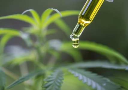 How Old to Buy Cbd