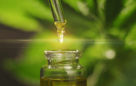 Does Cbd Oil Go Bad