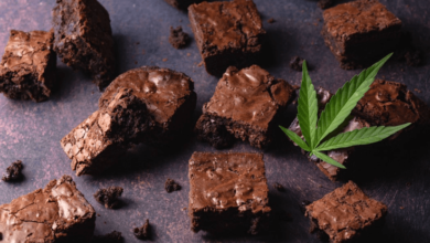 How Long Does 20 Mg of Cbd Stay in Your System