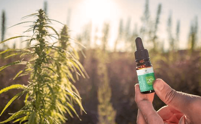 How Long Does Cbd Effects Last