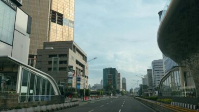 binoid cbd quality review