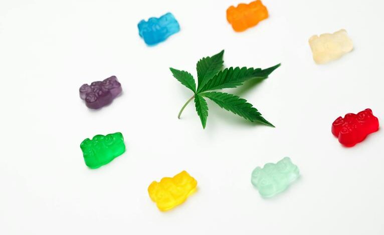 hemp versus cbd gummies