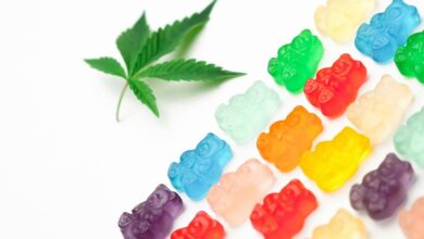 cbd gummies international travel