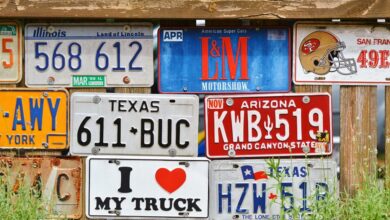 cbd license timeframe texas