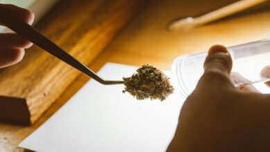 cbd military drug test