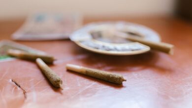 using cbd isolate powder