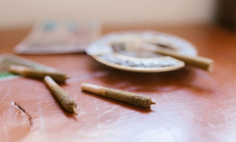 using cbd isolate powder