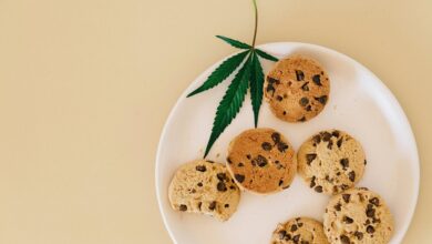 utilize pure cbd powder