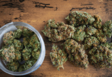 The Value of Storytelling from a Cannabis Marketing Agency
