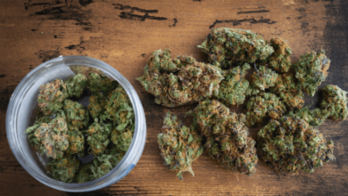 The Value of Storytelling from a Cannabis Marketing Agency