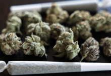 Drive Traffic with a Professional Cannabis Marketing Agency