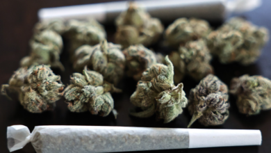 Drive Traffic with a Professional Cannabis Marketing Agency