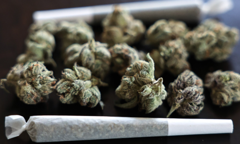 Drive Traffic with a Professional Cannabis Marketing Agency