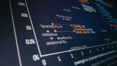 system analysis report summary