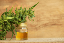 https://socialcbd.net/does-cbd-oil-help-with-autoimmune
