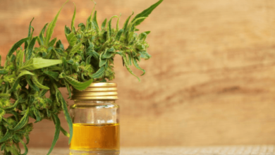 https://socialcbd.net/does-cbd-oil-help-with-autoimmune