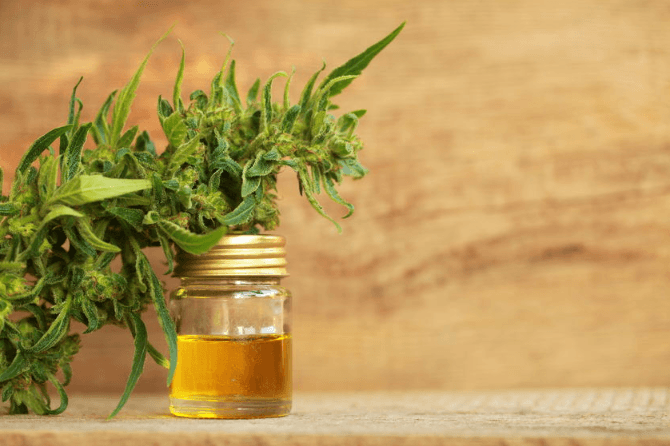 https://socialcbd.net/does-cbd-oil-help-with-autoimmune